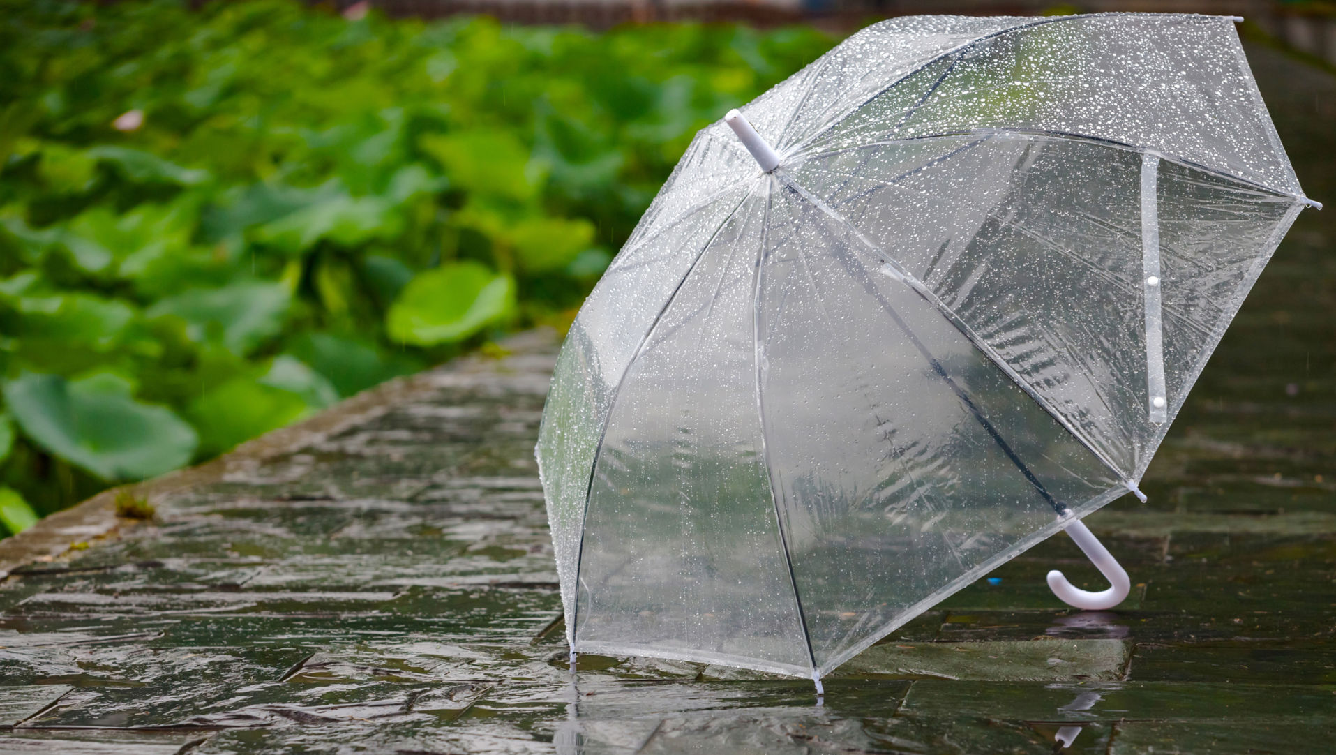 Opening an umbrella inside